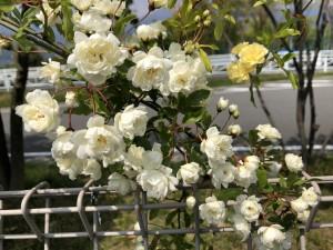 04129dab-014a-472a-804c-72637e869763