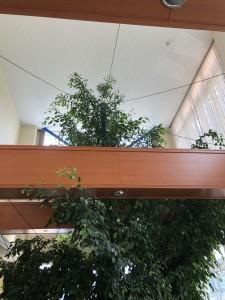 0653e56a-7b9d-4f5f-8735-caa68bb308ea