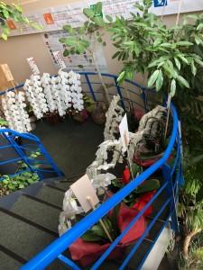 07833efe-0d60-4a63-8ca0-0a8781a3c7fc