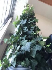 11c1a39a-2f9e-4f51-9b57-22f300bbf70e