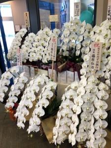 1c9fed49-bb36-4f13-baf2-b606b6ae58a4