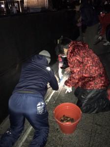 1fe705c8-0427-47a1-87d7-e77d0420c8be