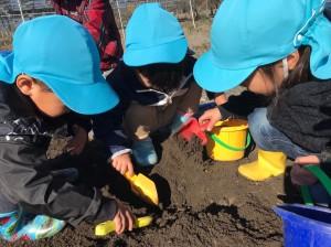 いもほり*2020_0.11.30_201201