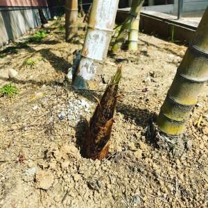 21081f95-705b-4021-a77b-96efe6a9b33d