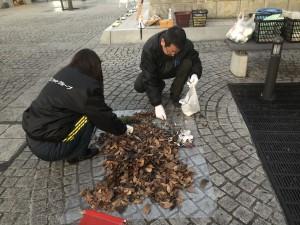 218b7588-d071-491f-ac16-909e98a5b09c