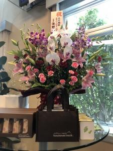 2ae20fd2-0e6a-4a65-a322-6f44d08ccba8