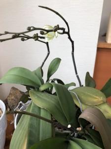 3292dd1b-0d2a-42dd-b447-0a28da7cdb19