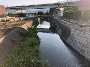 3331818f-5d94-4b5c-be43-8141b80f406f