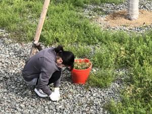 34b526f3-fd43-46a3-bc44-9bf6855eb9e6