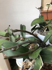 374eb9fc-d05a-42b1-b349-cc6c6d6e7aa6