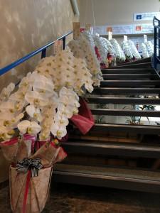 3d761f51-7c7f-41a8-b355-a2f46fa094d4