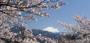 3db39879-5960-4f54-82f0-8769d31d8328