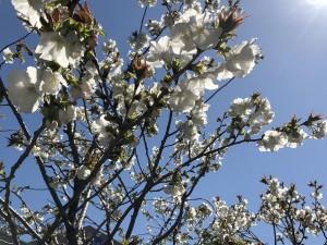 405b42bc-bf41-4810-bdf7-bf9c7ffe59a6