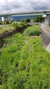 462a05c4-3808-4eeb-a3d2-30297ceb688e