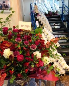 474533db-2d63-4bdd-9b43-eb9bea579607