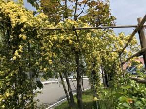 4a4b55ac-3cfd-4b4d-9c42-3d8b88730cde