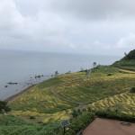 65684d94-51a7-4073-9bad-6d8d099adcf0