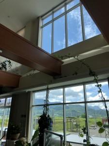 68b0cbce-488c-4988-bd6b-871d021722a7