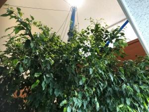 6a2d12fd-7ec4-4df0-a415-58ed2b1bb05c