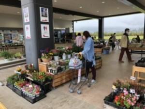 6fa2f085-9e85-42c9-9365-6ed260db8215