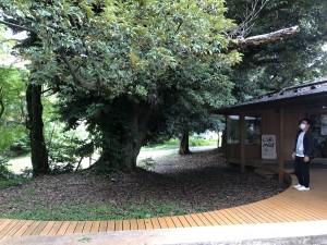 753cbcc1-f9f8-4358-a27b-8a7a2df5f468