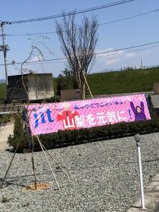 7d7817bd-ec24-4f43-941f-b73a59c2671e