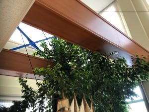 997669a6-95cc-43b8-a44b-57a4bebb37d4