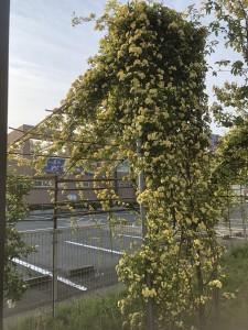 9e6e5056-1289-4e6e-8fc6-8864ecf31908