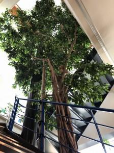 ad14d810-d14a-403e-a994-c492be1b78f3