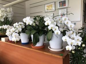 b32e90fd-e3e8-4b07-a446-1dad3a2e46e9