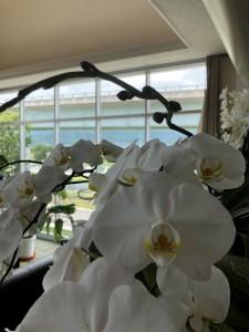 bb0dc957-8ca4-49ad-81bd-41f151bc133f