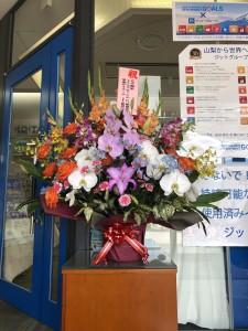 c3130eea-a360-4058-ab9d-d2d8ce7d432c