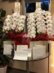 d27a6d37-302b-409e-adcb-e2674fda97e1