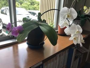 d5739efa-5bae-43a6-a876-9b038ef69060