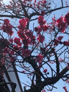 ebd4cd16-34c6-4e08-8adc-07f5bd45fc25