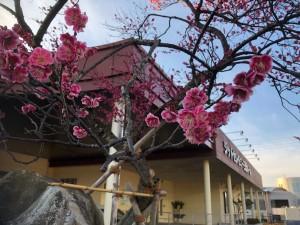 f4934455-1f6b-47bf-b110-b44d7fdd9c9e