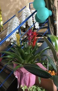 f538f2c3-11ef-40dd-9e59-666a65e185a0