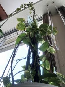 f8ef257c-97ab-49d3-968b-828e5a367b87