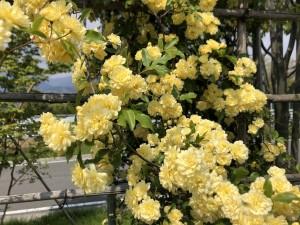 fb97d056-5711-4f0a-be41-d769ca528df9