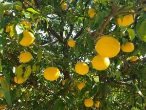 microsoftteams-image (119)