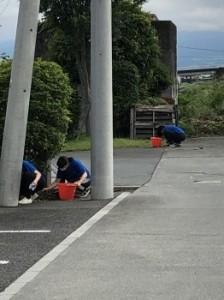 soji462dbef2e-bcbf-46b1-8288-f03560d074f9