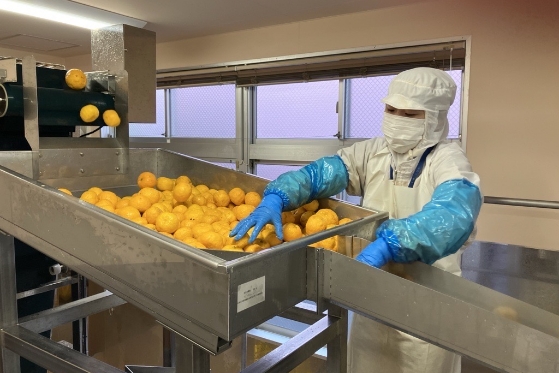 地元の農業を守る取り組み