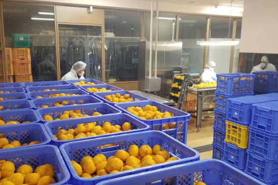 地元の農業を守る取り組み